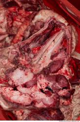 Photo Textures of RAW Pork Meat